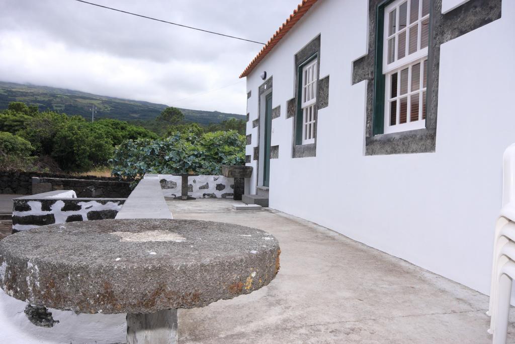 Homepico *